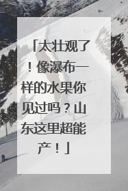 太壮观了！像瀑布一样的水果你见过吗？山东这里超能产！